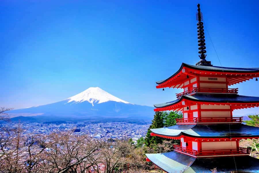 From Tokyo: Mount Fuji and Hakone Private Day Trip - Chureito Pagoda and the classic Fuji photograph