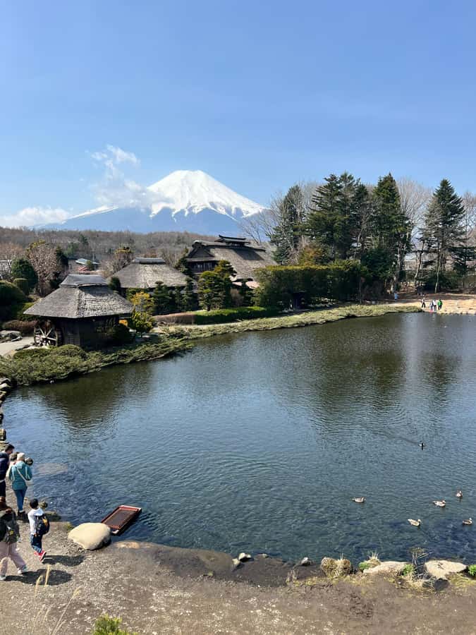 From Tokyo: Mount Fuji and Hakone Private Day Trip - Fuji Sengen Shrine, cedar trees, and quiet ceremony