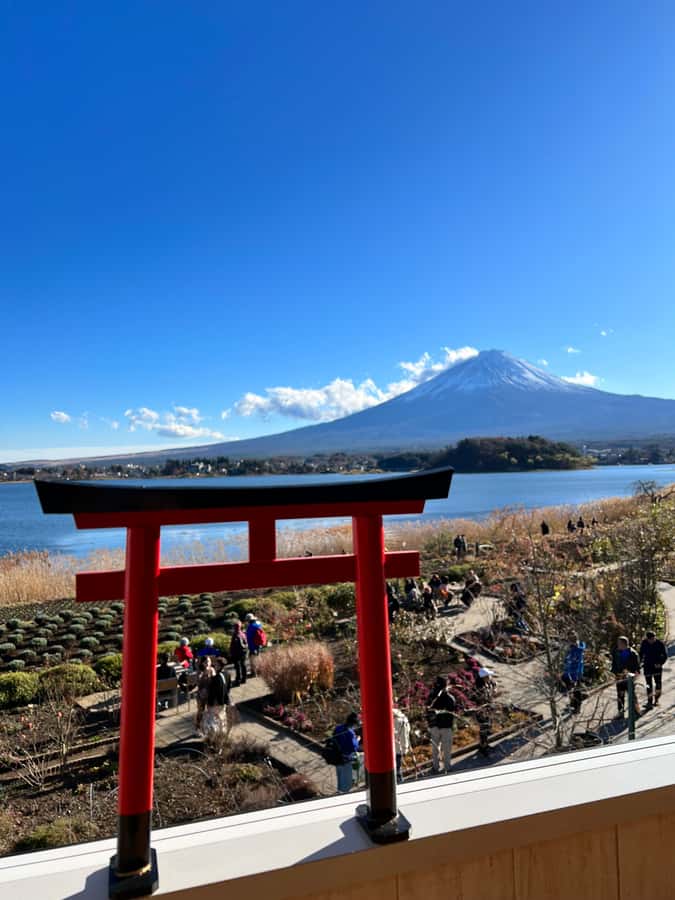 From Tokyo: Mount Fuji and Hakone Private Day Trip - Oshino Hakkai and the Fuji Five Lakes area