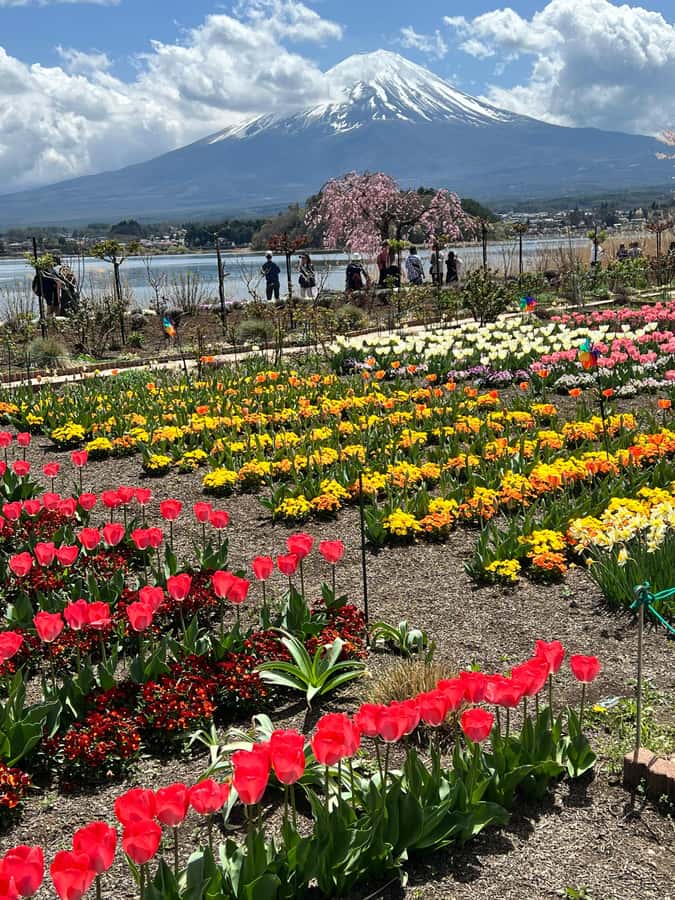 From Tokyo: Mount Fuji and Hakone Private Day Trip - Hakone Open Air Museum