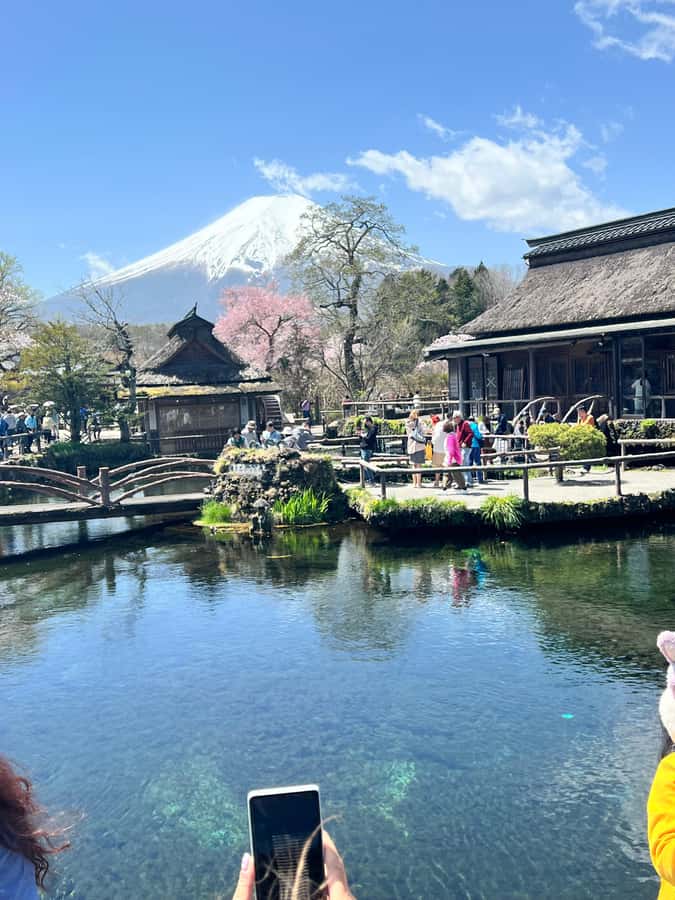 From Tokyo: Mount Fuji and Hakone Private Day Trip - Owakudani Valley and Hakone’s volcanic side