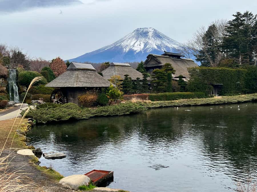 From Tokyo: Mount Fuji and Hakone Private Day Trip - Fuji Subaru Line 5th Station at 2,300 meters