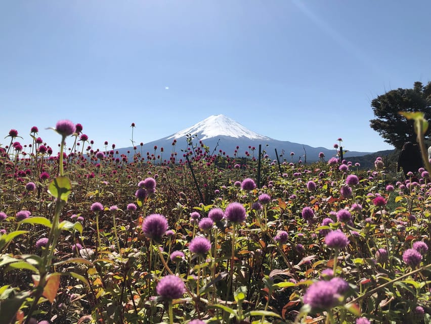 From Tokyo: Mount Fuji, Cruise and Sake Tour - Ide Sake Brewery and the tasting