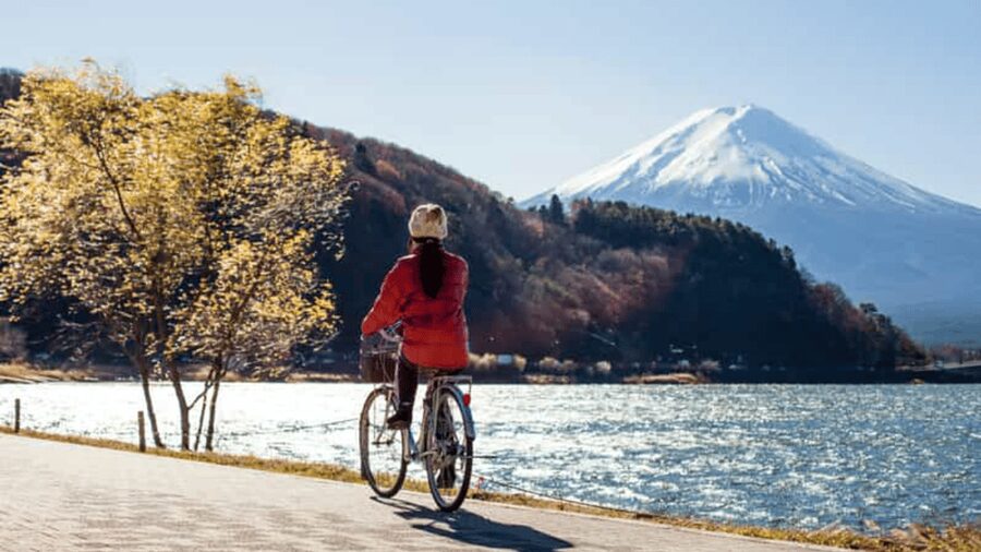 From Tokyo: Mount Fuji Full Customized Tour English Guide - Key points to know before booking