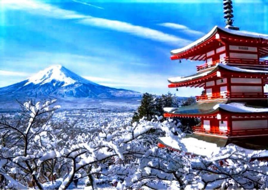 From Tokyo: Mount Fuji Full Customized Tour English Guide - Lake Kawaguchiko, the day’s flexible centerpiece