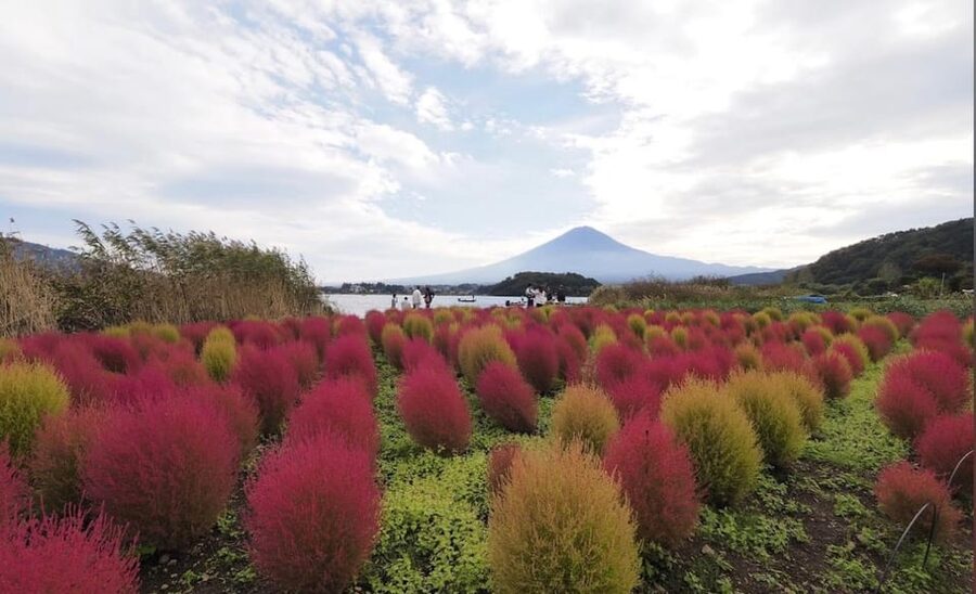 From Tokyo: Mount Fuji Full Customized Tour English Guide - Chureito Pagoda and Arakurayama Sengen Shrine