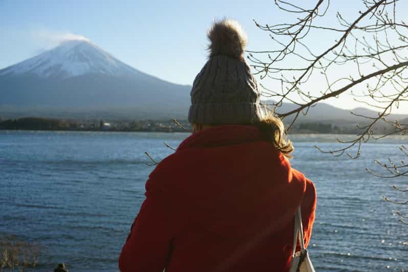 From Tokyo: Mount Fuji Full-Day Customizable Private Tour - A private Fuji day instead of a fixed bus schedule