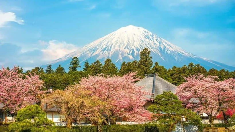 From Tokyo: Mount Fuji Full-Day Customizable Private Tour - Route B: Hakone’s ropeway, lake cruise, and outdoor art