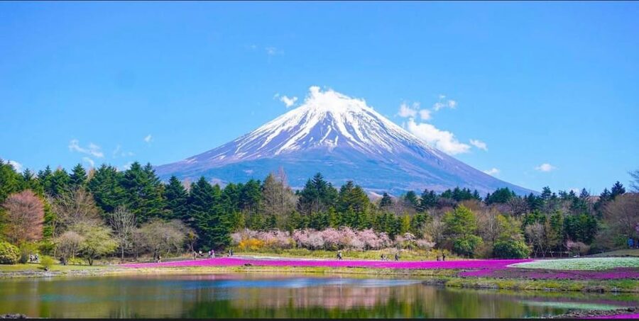 From Tokyo: Mount Fuji Full-Day Customizable Private Tour - What to bring and what costs extra