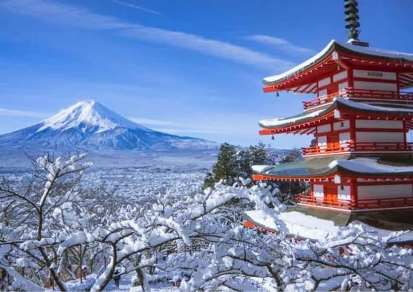 From Tokyo: Mount Fuji Full-Day Customizable Private Tour - Who should book this private Fuji trip?