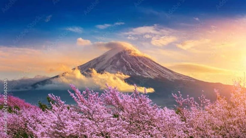 From Tokyo: Mount Fuji Full Day Customizable Private Tour - What the 10 to 12 hours really means