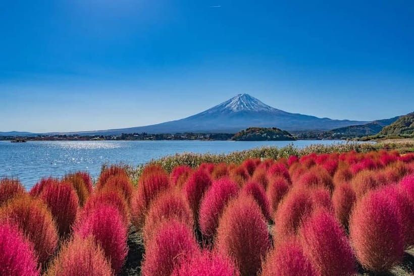 From Tokyo: Mount Fuji Full Day Private Customizable Tour - Why a private Mount Fuji day works well