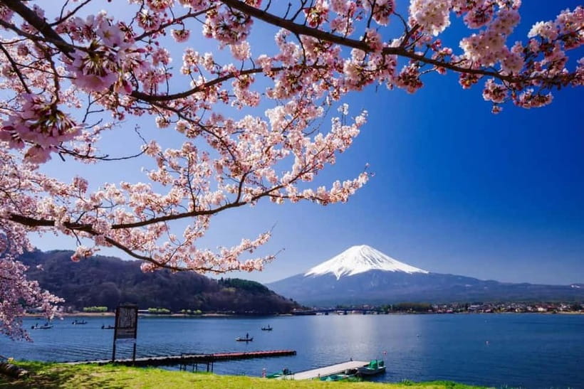From Tokyo: Mount Fuji Full Day Private Customizable Tour - Start early, then meet Fuji at Chureito Pagoda