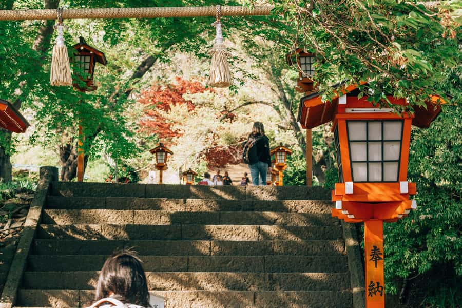 From Tokyo: Mount Fuji Full-Day Private Tour (Customizable) - Price, group size, and overall value
