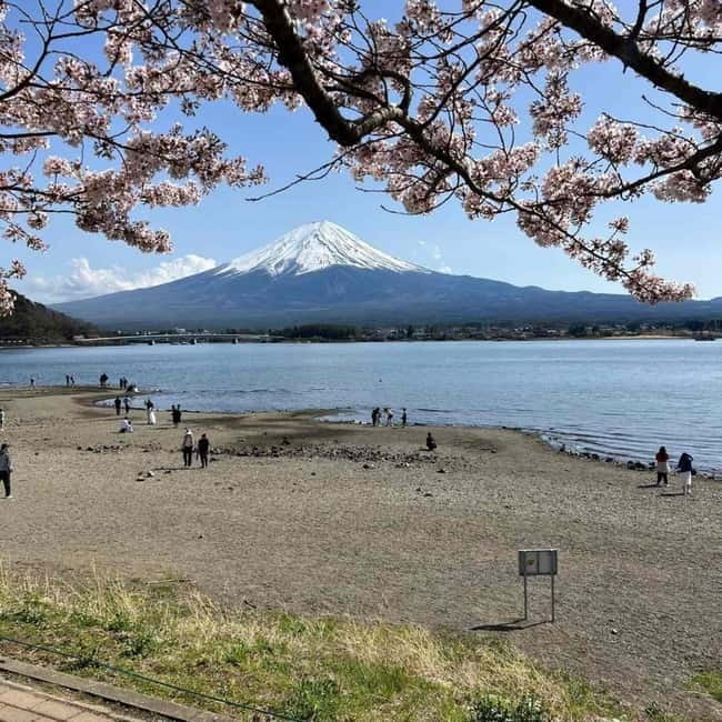 From Tokyo: Mount Fuji Full-Day Private Tour (Customizable) - Why a private Fuji day trip makes sense