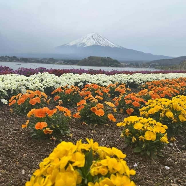 From Tokyo: Mount Fuji Full-Day Private Tour (Customizable) - Oshino Hakkai and old-fashioned countryside