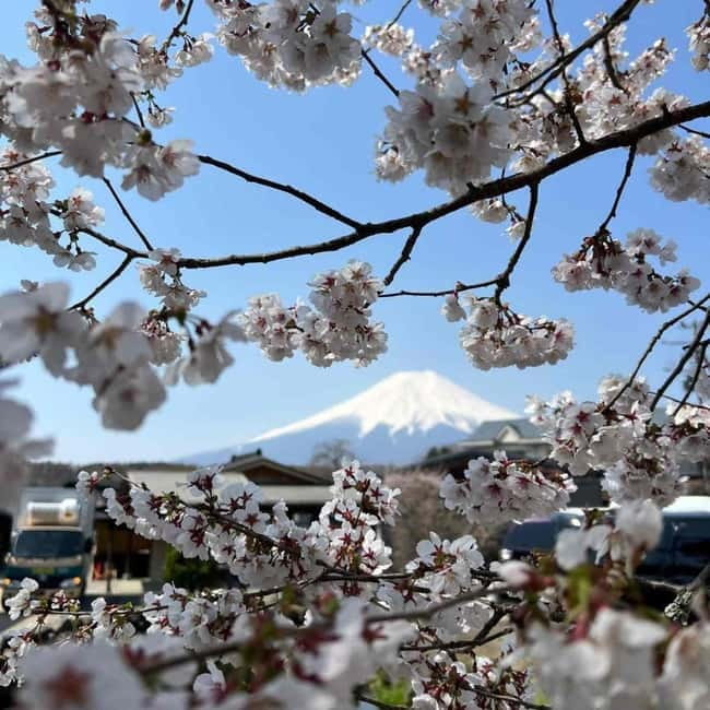 From Tokyo: Mount Fuji Full-Day Private Tour (Customizable) - Mount Fuji 5th or 6th Station