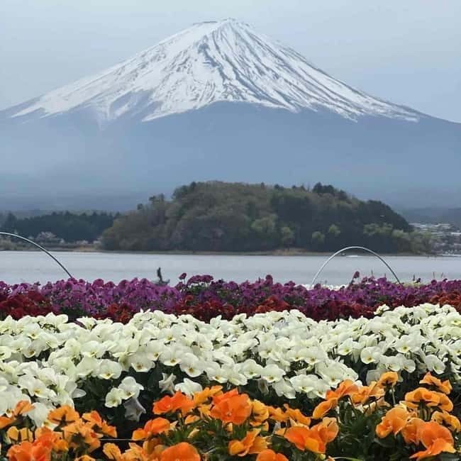 From Tokyo: Mount Fuji Full-Day Private Tour (Customizable) - Adding Hakone to your custom day