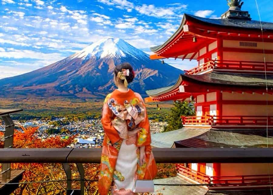 From Tokyo: Mount Fuji Full Day Private Tour English Guide - Key points to know before booking