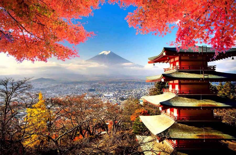 From Tokyo: Mount Fuji Full Day Private Tour English Guide - Mount Fuji 5th Station at 2,300 meters