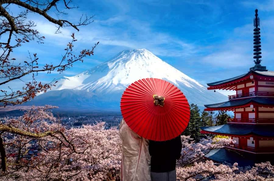From Tokyo: Mount Fuji Full Day Private Tour English Guide - Kita-Guchi Shrine and a more local side of Fuji