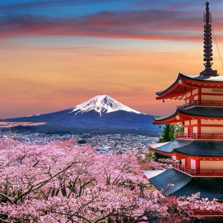 From Tokyo: Mount Fuji Full Day Private Tour English Guide - How flexible is the custom itinerary?