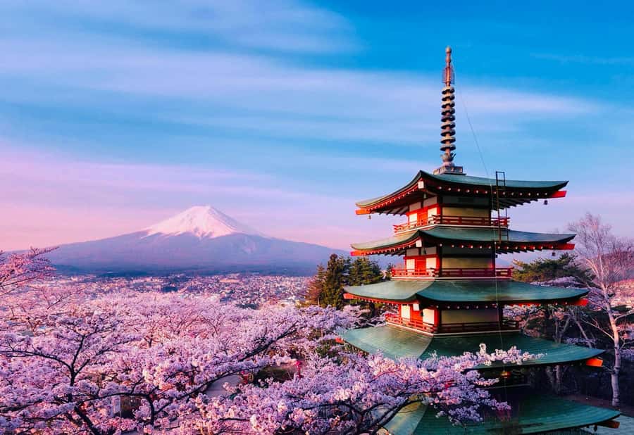 From Tokyo: Mount Fuji Full Day Private Tour English Guide - The guides and the value of personal service