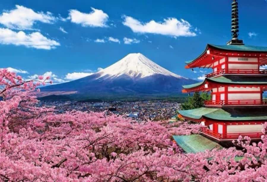 From Tokyo: Mount Fuji Full Day Private Tour English Guide - Is $370 good value for up to five people?