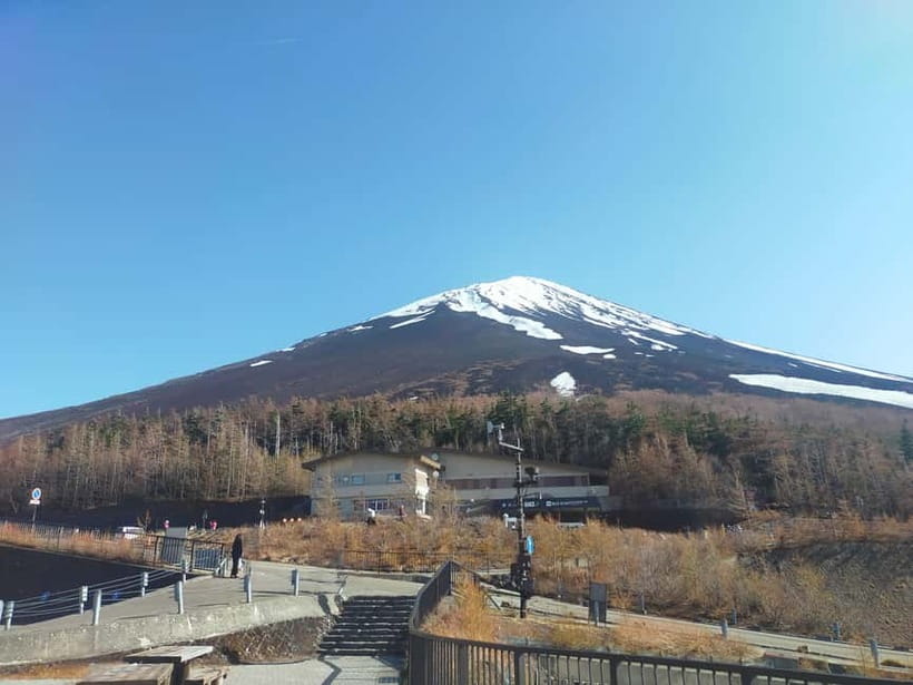 From Tokyo: Mount Fuji Full-Day Sightseeing Trip - Arakurayama Sengen Park and the Chureito Pagoda