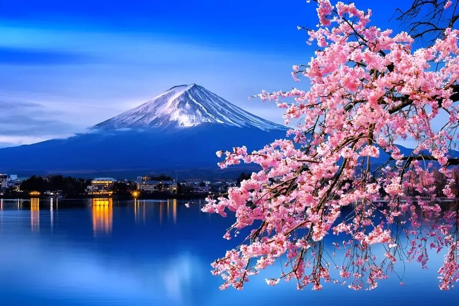 From Tokyo: Mount Fuji & Hakone Full Day Private Tour - Key points at a glance