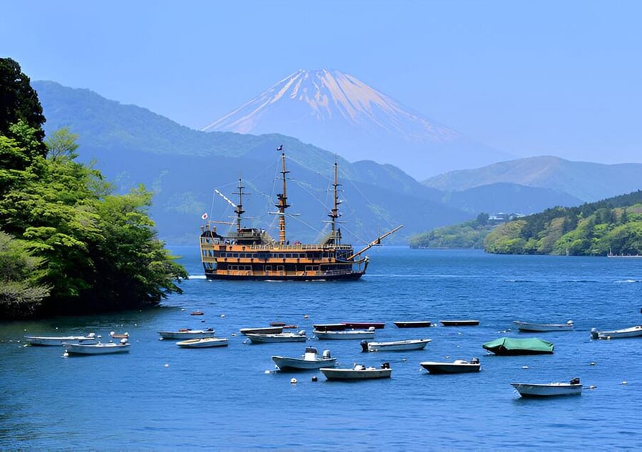 From Tokyo: Mount Fuji & Hakone Full Day Private Tour - Saiko Iyashi-no-Sato Nenba and rural Japan