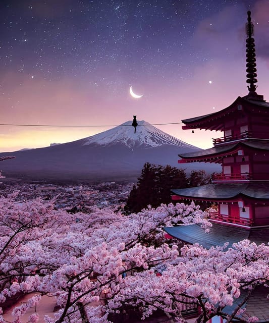 From Tokyo: Mount Fuji & Hakone Full Day Private Tour - Owakudani Valley and Hakone’s volcanic side