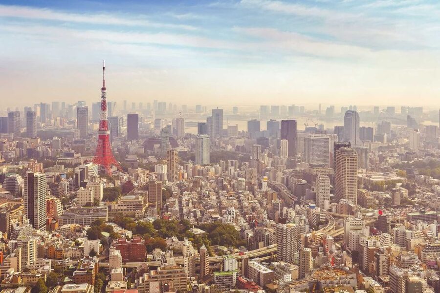 From Tokyo: Mount Fuji Private Day Tour - Why a private car makes sense for Mount Fuji