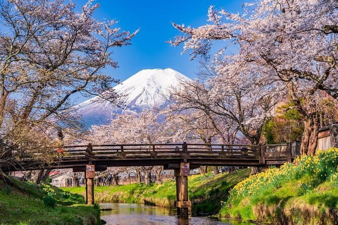 From Tokyo: Mount Fuji Sightseeing One Day Trip - Key points to know before you book