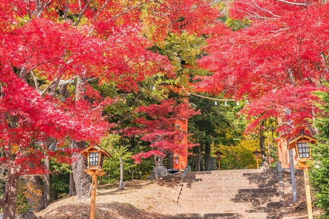 From Tokyo: Mount Fuji Sightseeing One Day Trip - Why this Mount Fuji day trip works from Tokyo