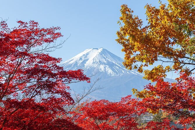 From Tokyo: Mount Fuji Sightseeing One Day Trip - Arakura Fuji Sengen Shrine adds cultural context