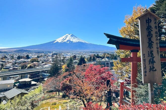 From Tokyo: Mount Fuji Sightseeing One Day Trip - Hikawa Clock Shop offers an unusual Fuji street scene