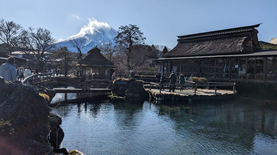From Tokyo: Mt. Fuji & Hakone Tour w/ Return by Bullet Train - Who should book this outing?