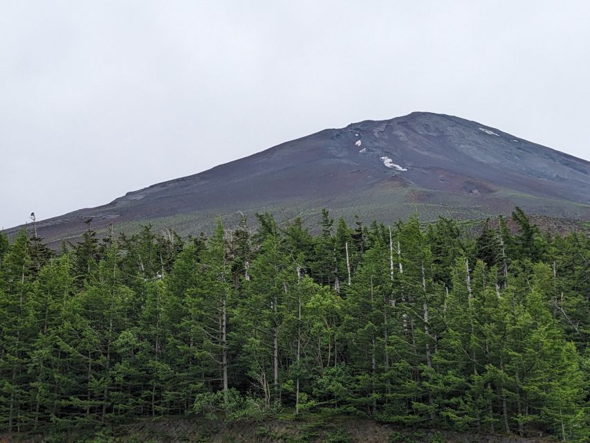 From Tokyo: Mt. Fuji & Hakone Tour w/ Return by Bullet Train - The bullet train return from Odawara