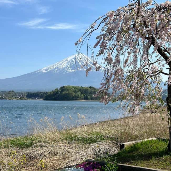 From Tokyo: Mt Fuji Private Day Tour In Luxury Land Cruiser - Chureito Pagoda and the climb for the classic view