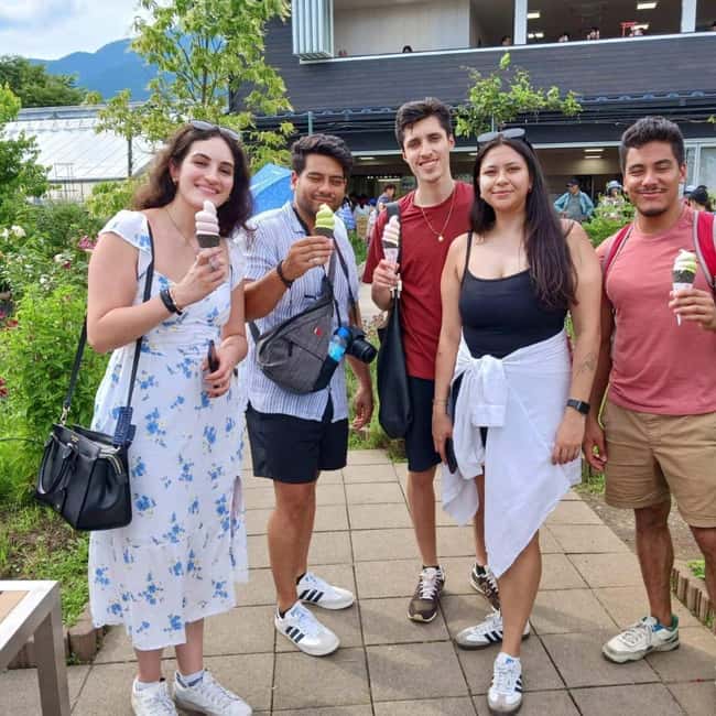 From Tokyo: Mt Fuji Private Day Tour In Luxury Land Cruiser - Oshino Hakkai, clear ponds and village atmosphere