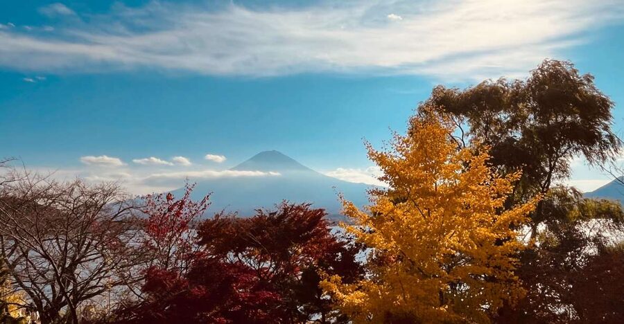 From Tokyo: Mt.Fuji, Tea Ceremony & Outlet Shopping Day Tour - Why this tour works for a first Fuji visit