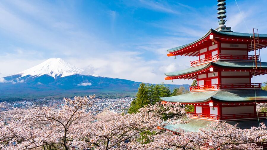 From Tokyo: Mt.Fuji, Tea Ceremony & Outlet Shopping Day Tour - What to bring and how to prepare