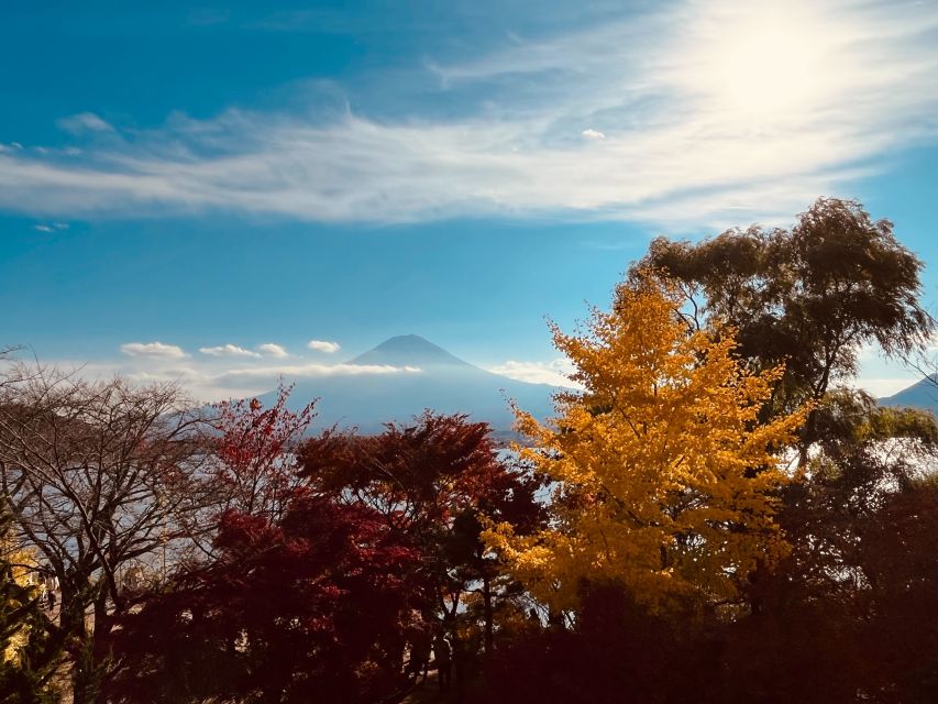 From Tokyo: Mt.Fuji, Tea Ceremony & Outlet Shopping Day Tour - Meeting at Shinjuku L Tower