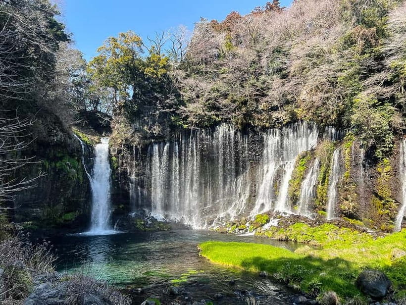 From Tokyo: Must-Visit Mount Fuji Highlight Full-Day Tour - Obuchi Sasaba tea fields