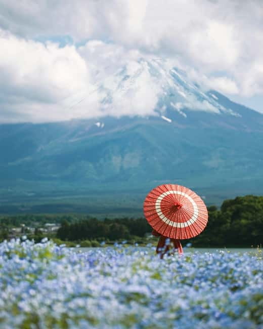 From Tokyo: Must-Visit Mount Fuji Highlight Full-Day Tour - Oshino Hakkai and its clear spring ponds