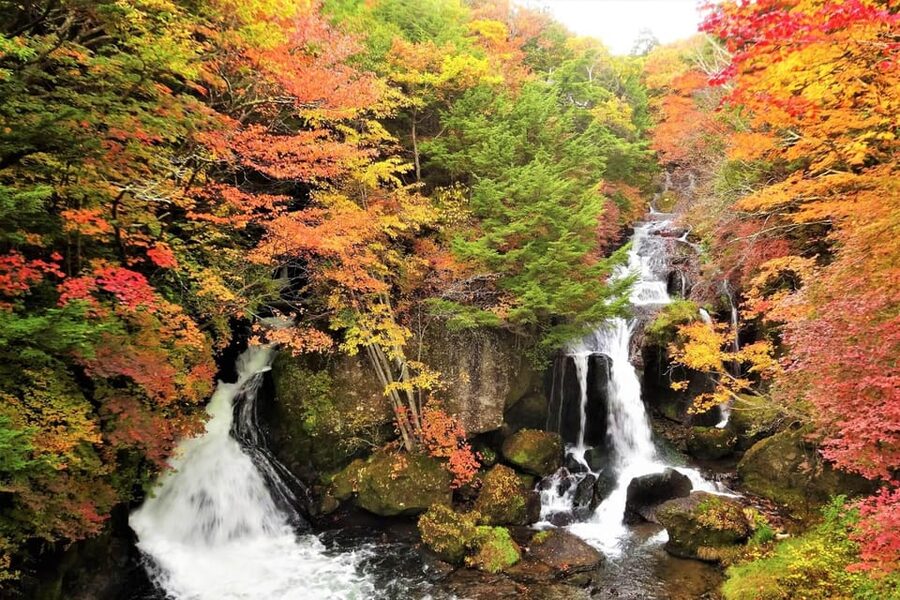 From Tokyo: Nikko World Heritage Site Private Full-Day Trip - Why private transport changes the Nikko day