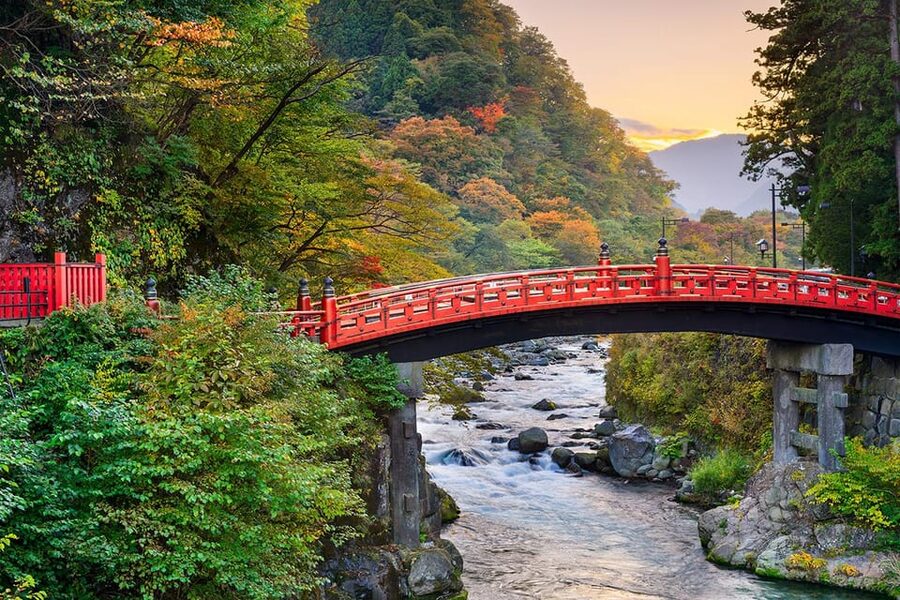 From Tokyo: Nikko World Heritage Site Private Full-Day Trip - Lunch and the religious heart of Nikko