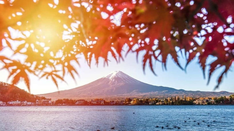 From Tokyo: Private Mt. Fuji and Hakone Tour by Car - Key points to know before booking