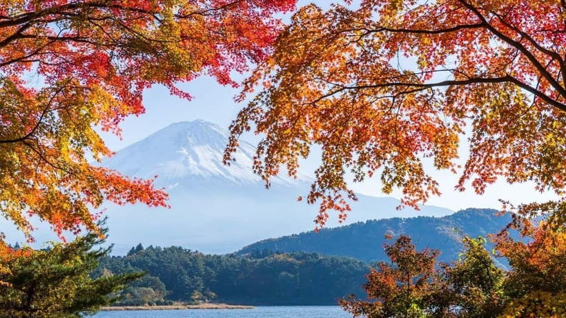 From Tokyo: Private Mt. Fuji and Hakone Tour by Car - Mt. Fuji 5th Station: the highest optional stop